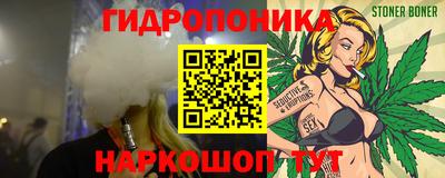 дмт Сланцы