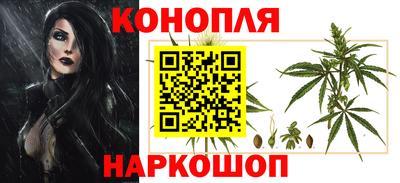 дмт Сланцы